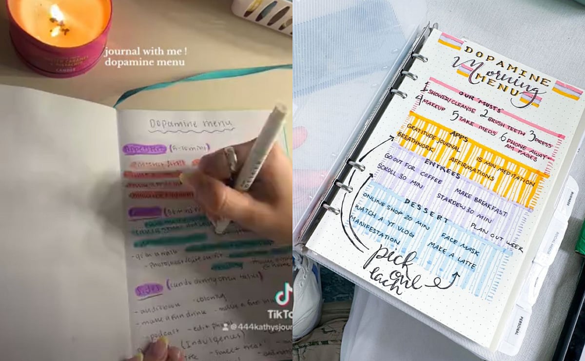 Dopamine Menu: TikTok Trend - Pinterest